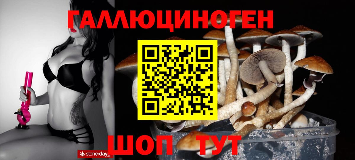 Большой Камень  Галлюциногенные грибы ЛСД  Вход с VPN 